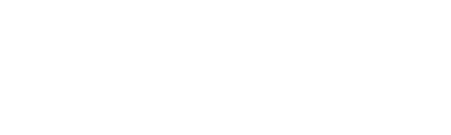 logo NewSun Energy Group