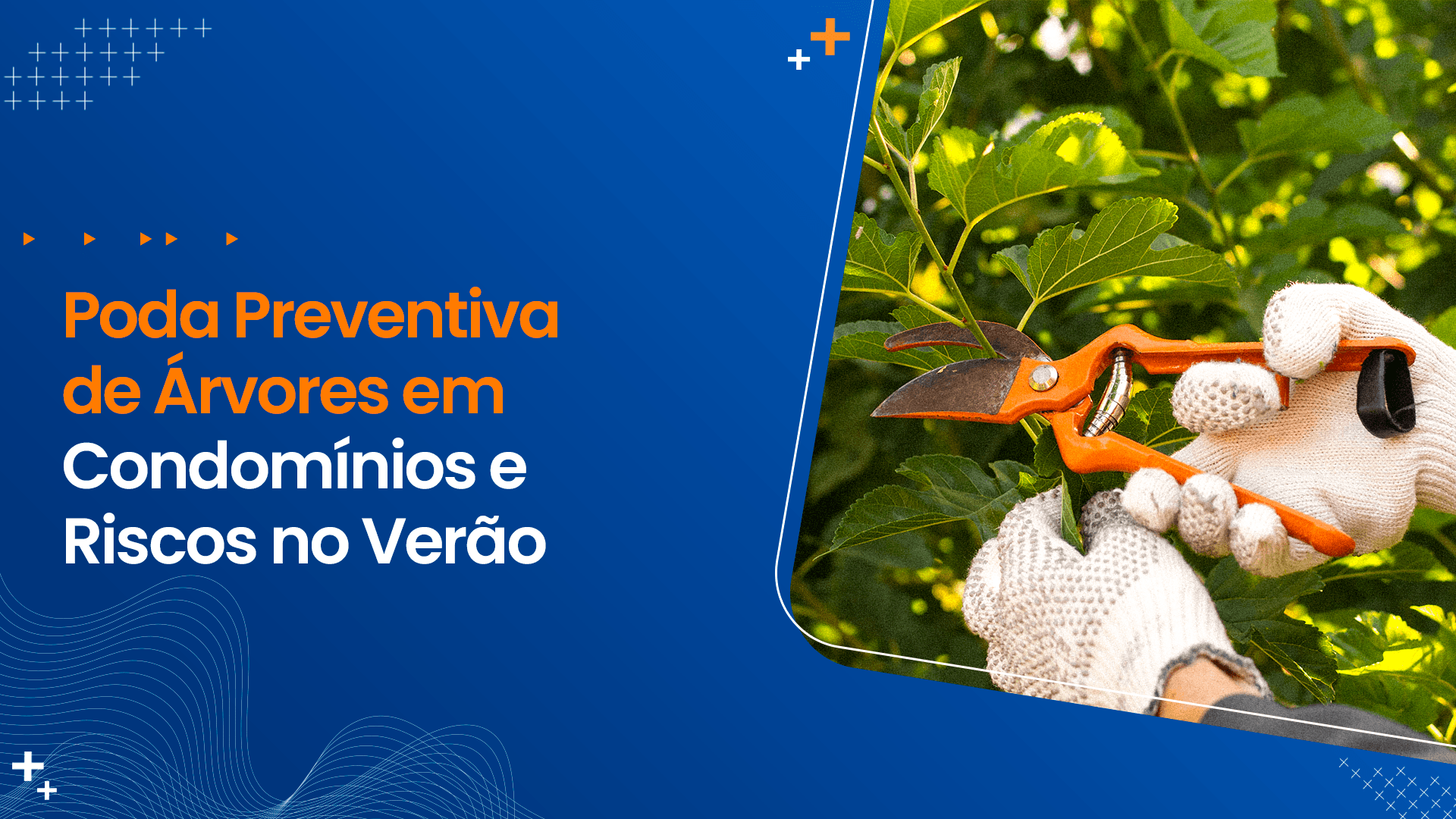 Poda Preventiva de Árvores em Condomínios e Riscos no Verão