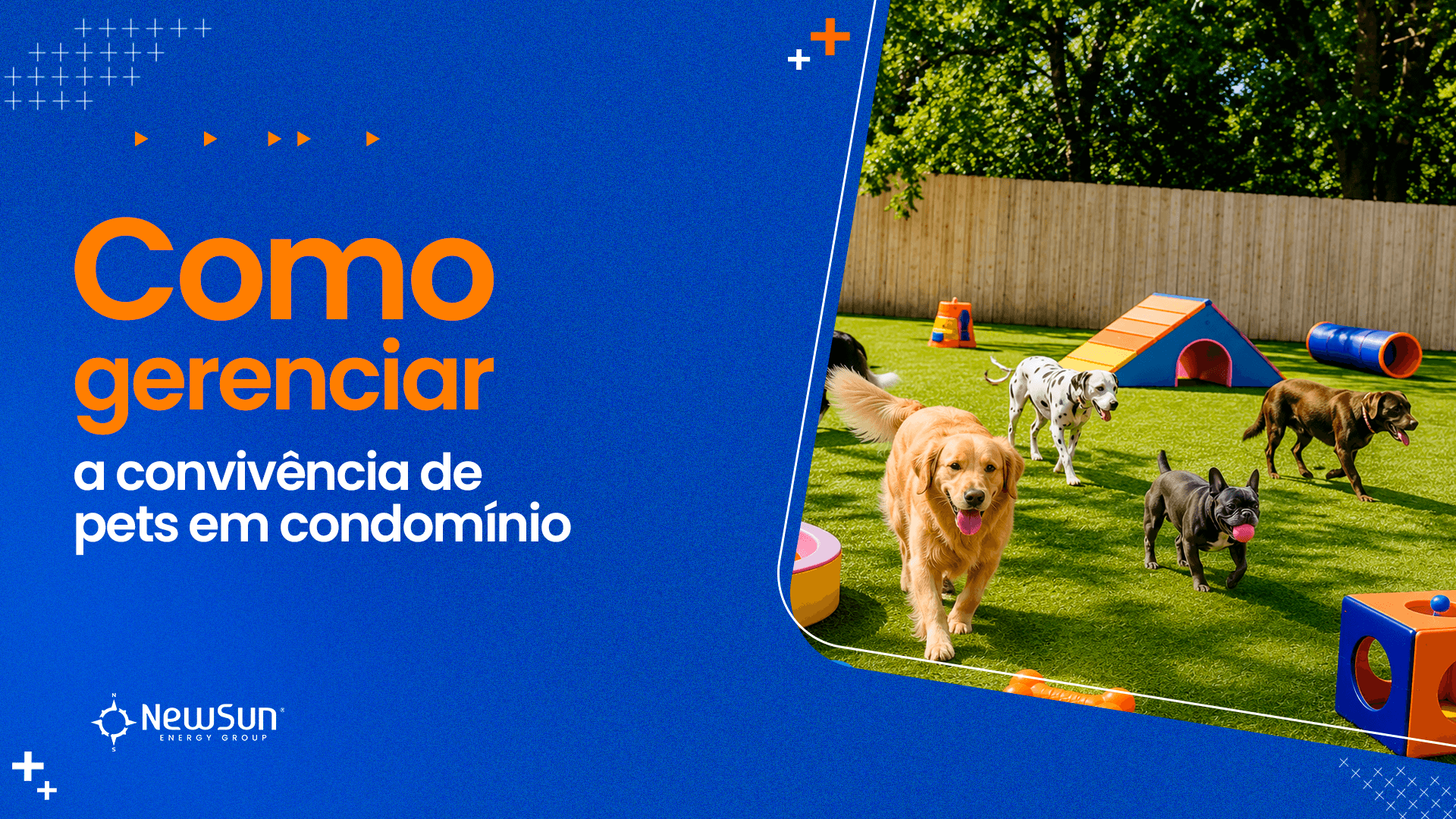 Como gerenciar a convivência de pets em condomínio