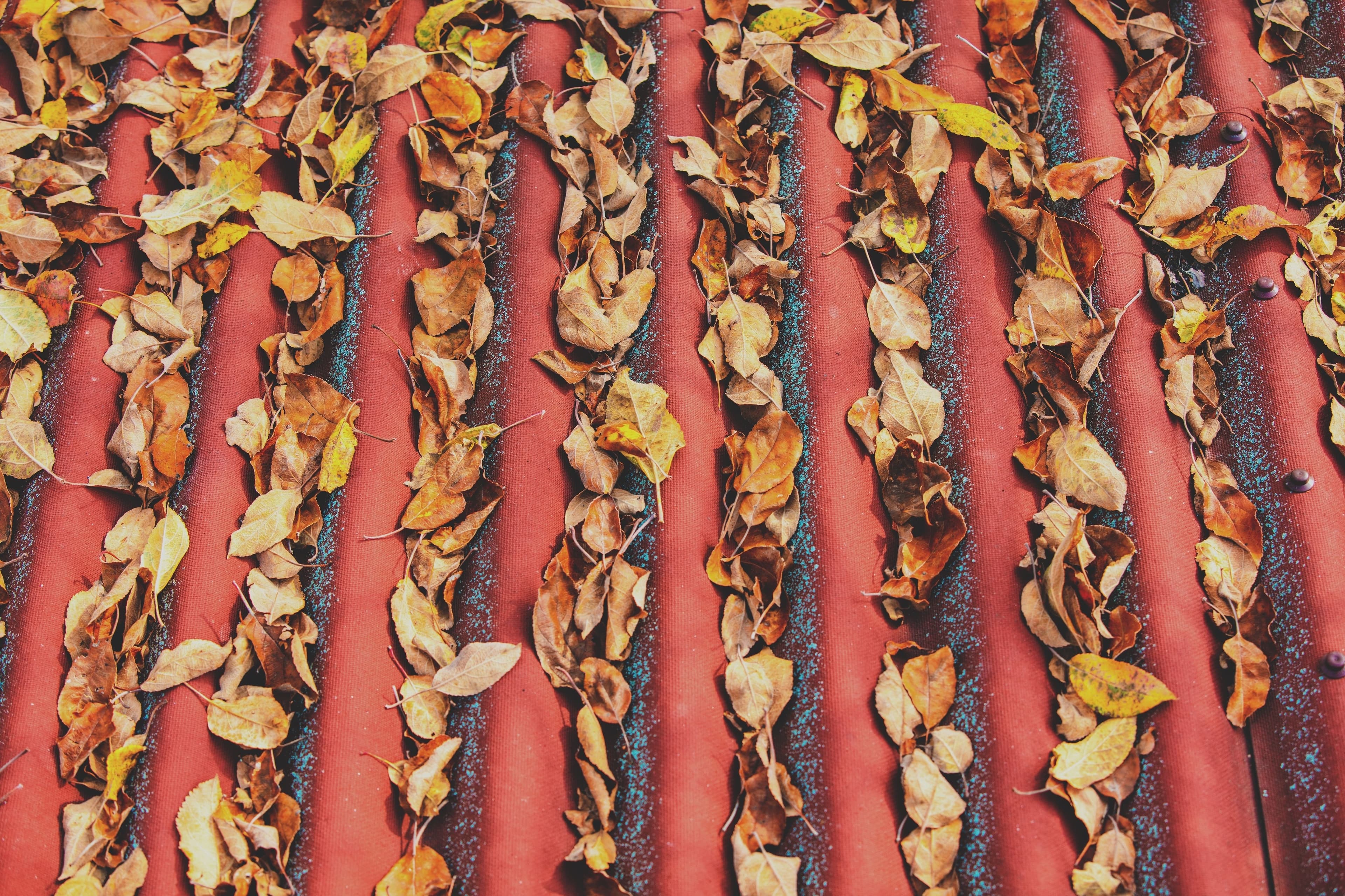 Manutenção Preventiva: Calhas e Ralos em Condomínios na Época Chuvosa