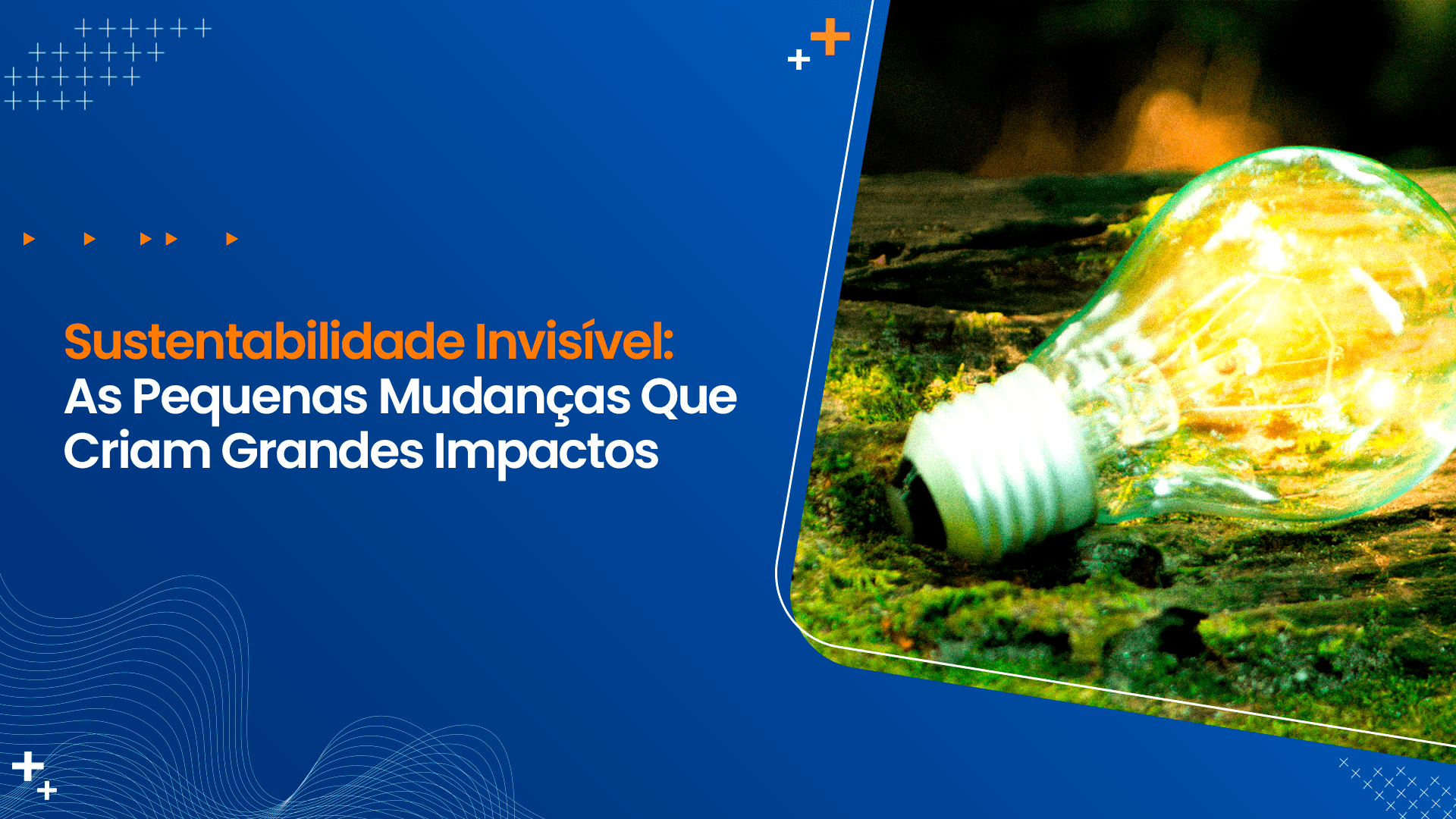 Sustentabilidade Invisível: As Pequenas Mudanças Que Criam Grandes Impactos