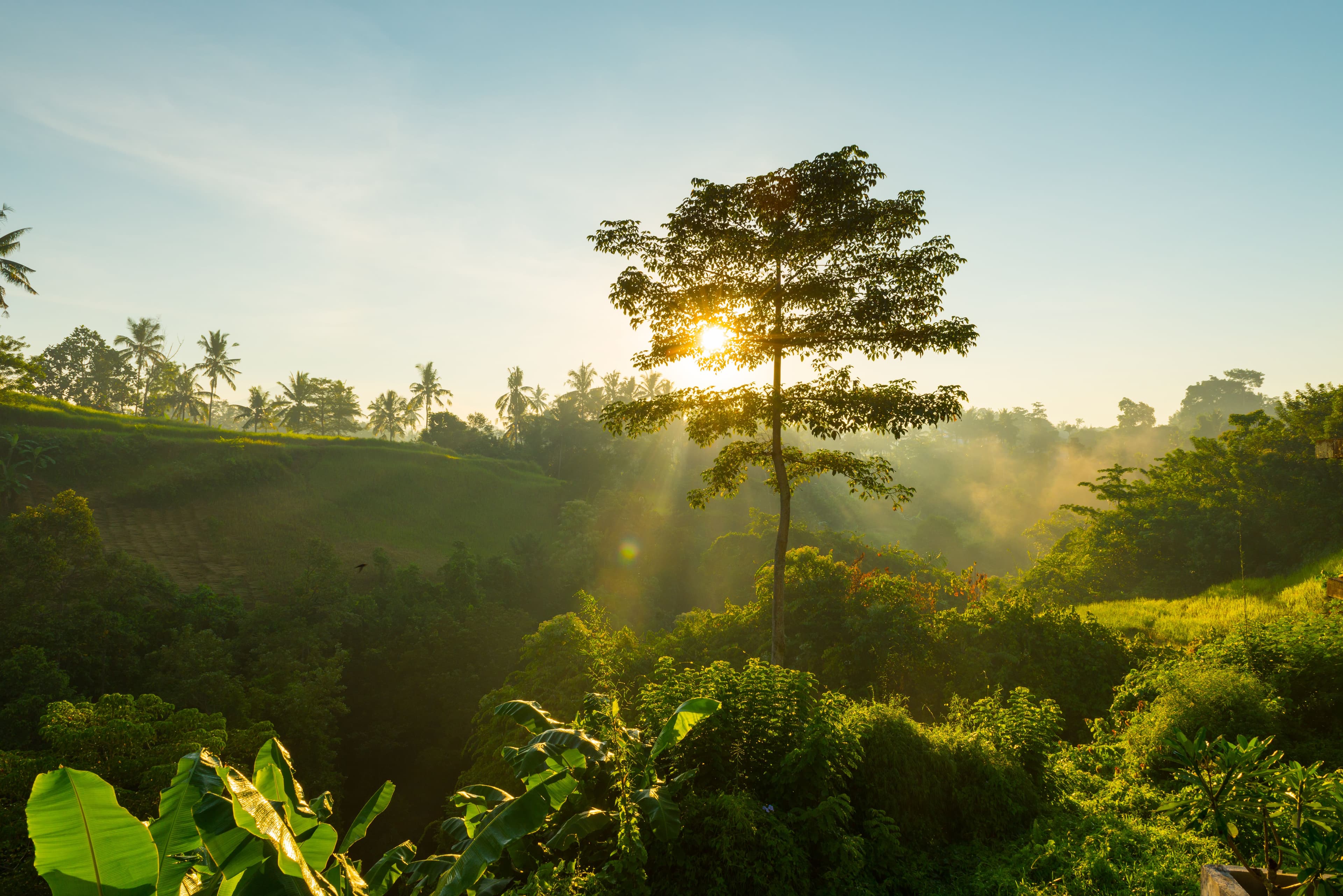 Vale a Pena Investir em Sustentabilidade? 