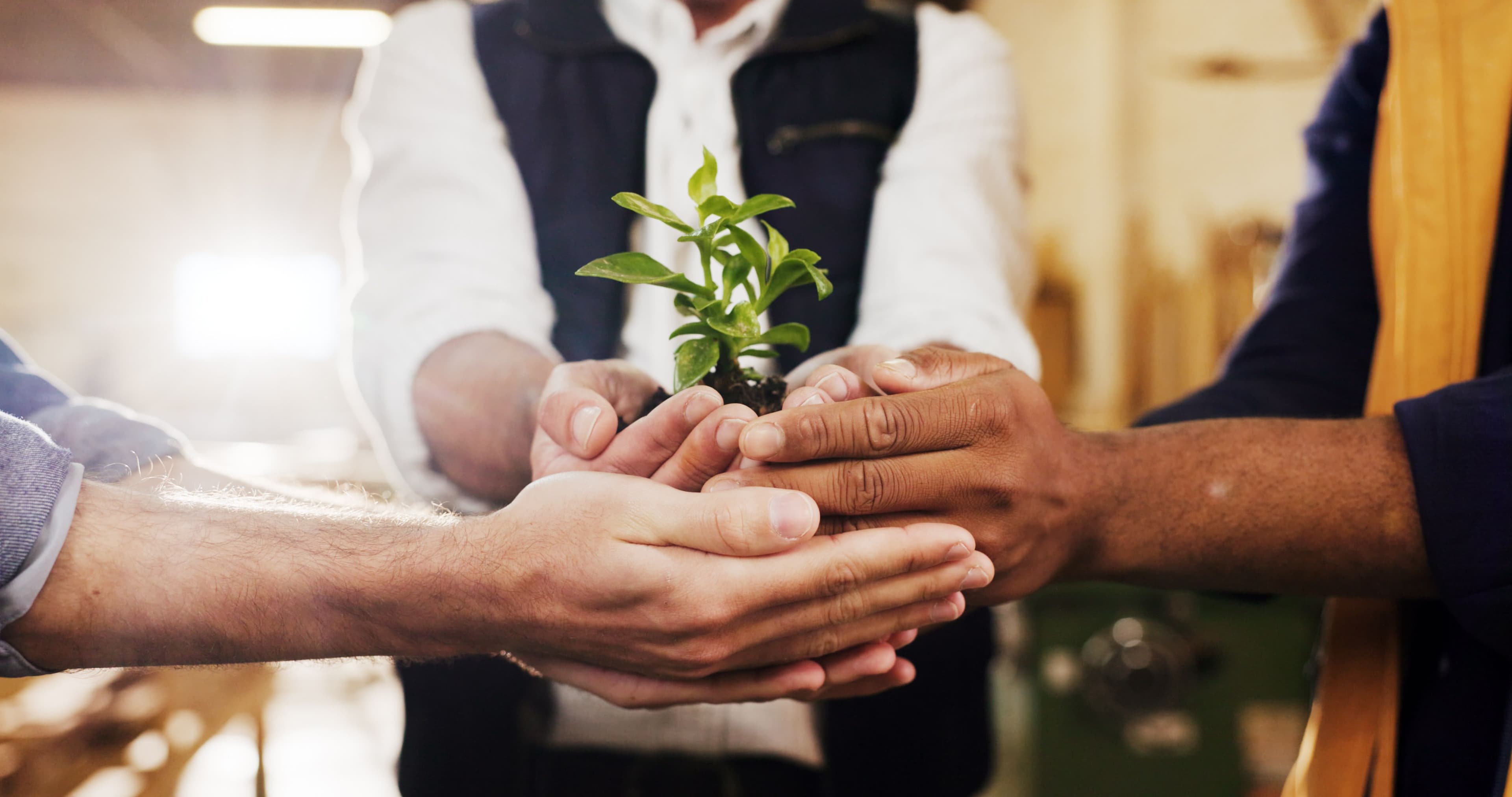 Measures to make your company more sustainable